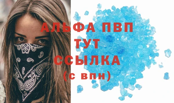 мдпв Пересвет