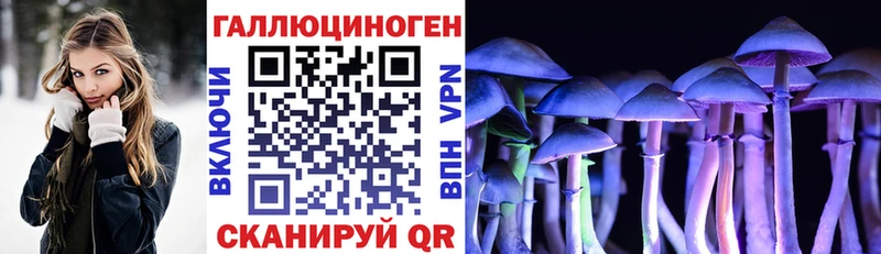 как найти закладки  Сургут  hydra ONION  Псилоцибиновые грибы мухоморы 