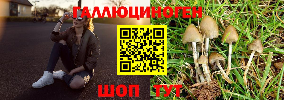 хочу   Сургут  Псилоцибиновые грибы MAGIC MUSHROOMS 