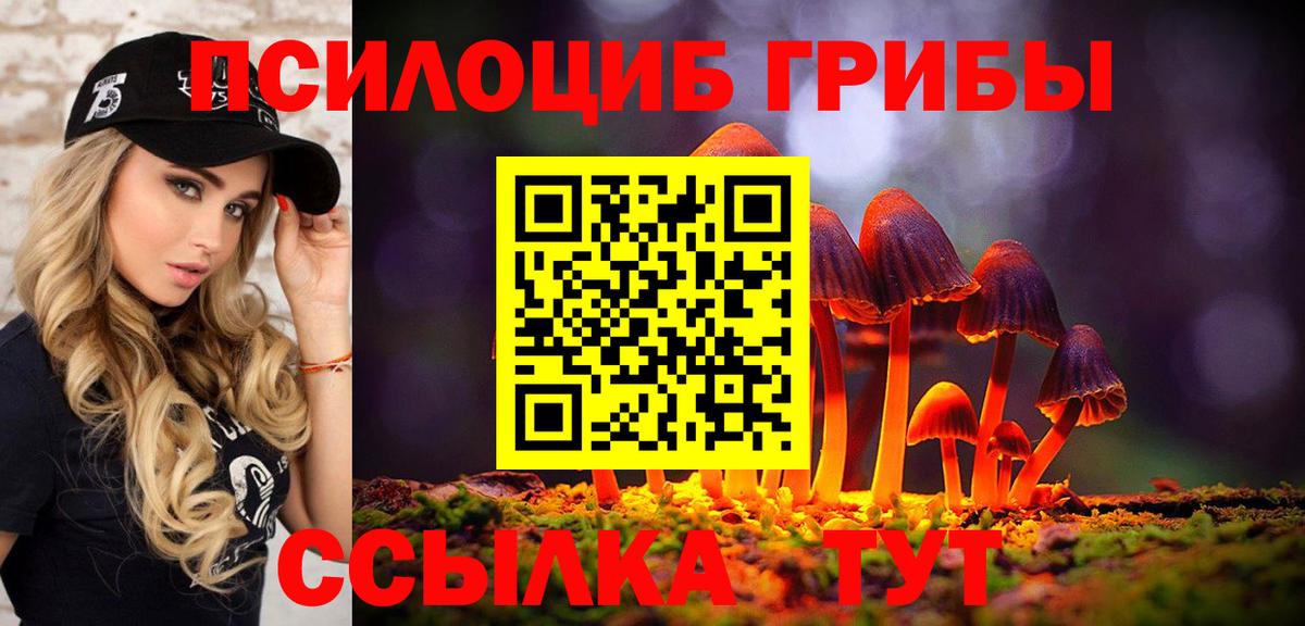 Псилоцибиновые грибы Cubensis Сургут
